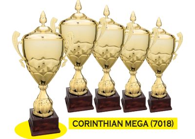 Premium Recognition Awards Manufacturer & Supplier specializing in glass, crystal, acrylic, wood, resin plaques, medals & trophies & Corporate Gifts & Giveaways nationwide in the Philippines