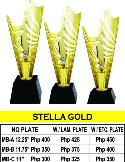 All Recognition Gift Stella Cup Trophy