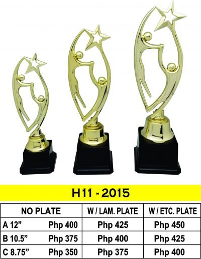 All Recognition Star Award Trophy