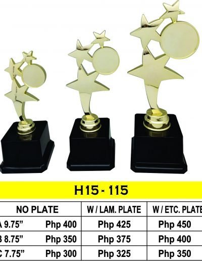 All Recognition Star Award Trophy