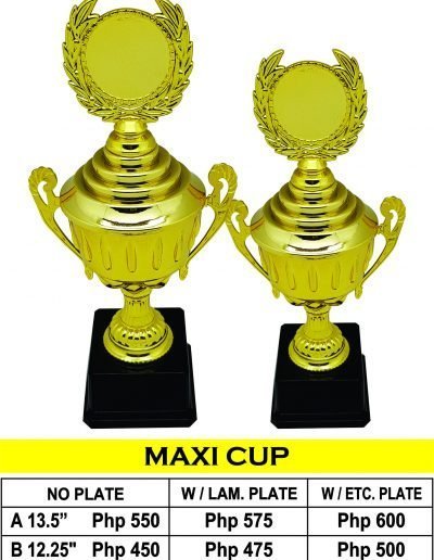 All Recognition Gift Eco Cup Trophy